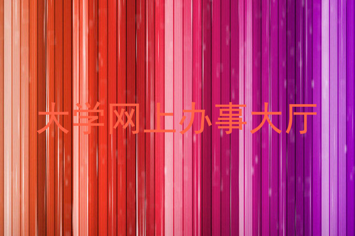大学网上办事大厅