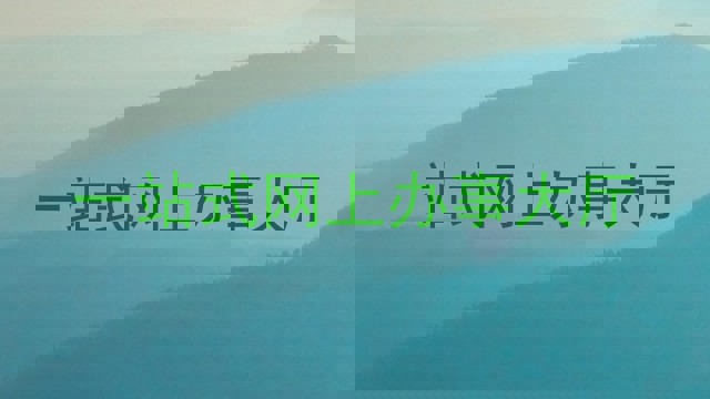 一站式网上服务大厅
