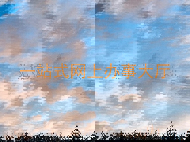 一站式网上办事大厅