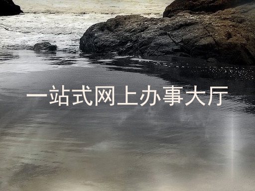 一站式网上办事大厅