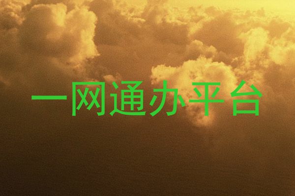一网通办平台