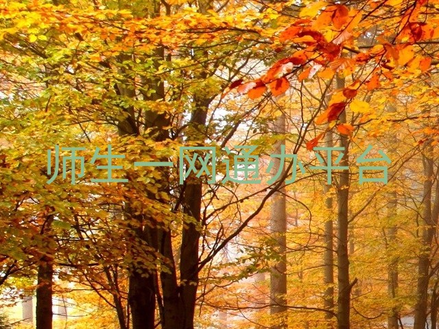 师生一网通办平台