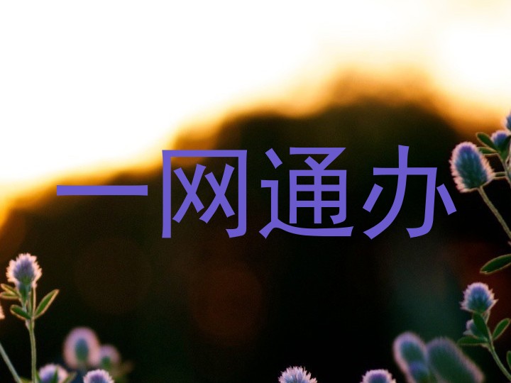 一网通办