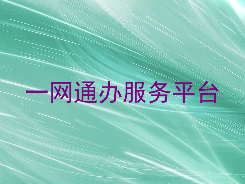 一网通办服务平台