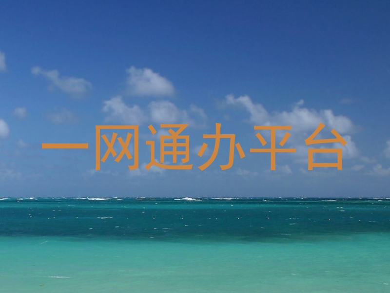 一网通办平台