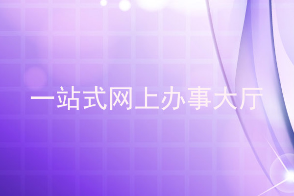 一站式网上办事大厅