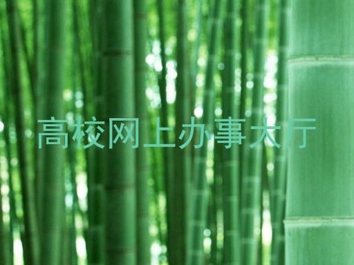 高校网上办事大厅
