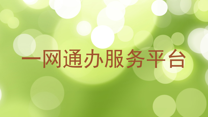 一网通办服务平台