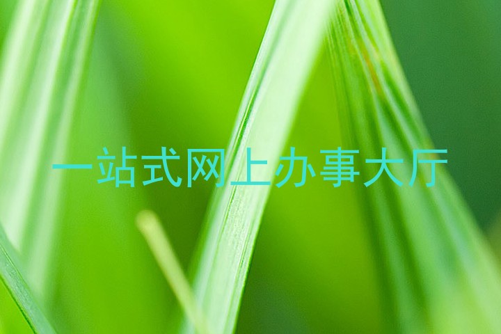 一网通办平台