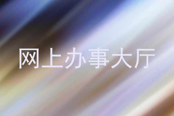 网上办事大厅