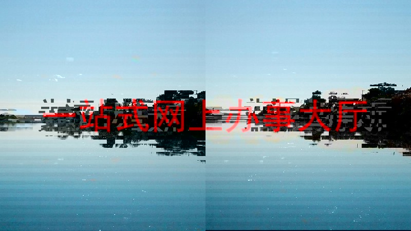 网上办事大厅