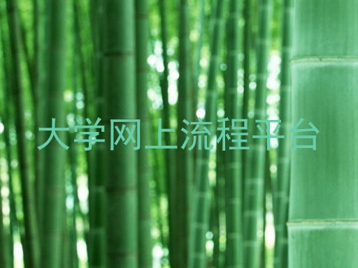 大学网上流程平台