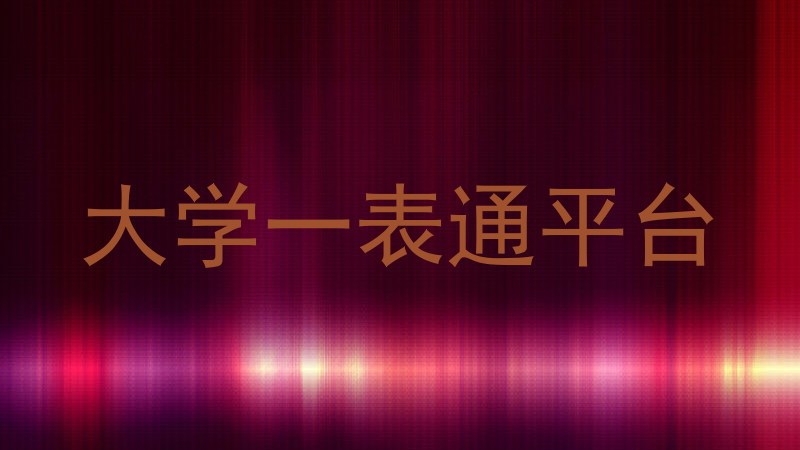大学一表通平台