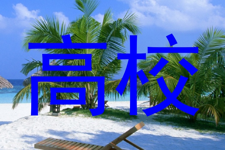 高校