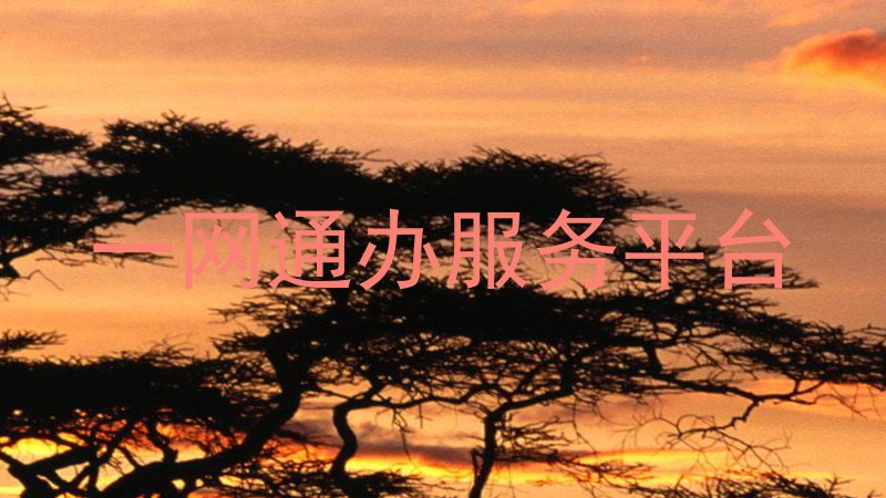 一网通办服务平台
