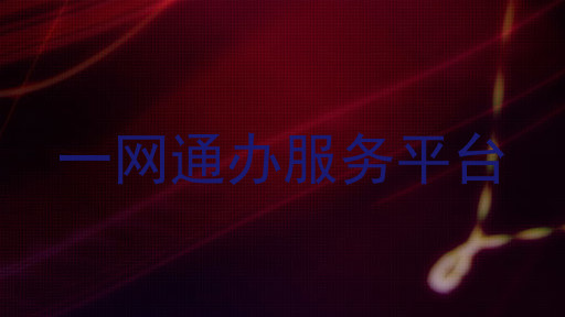 一网通办服务平台