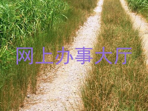 网上办事大厅