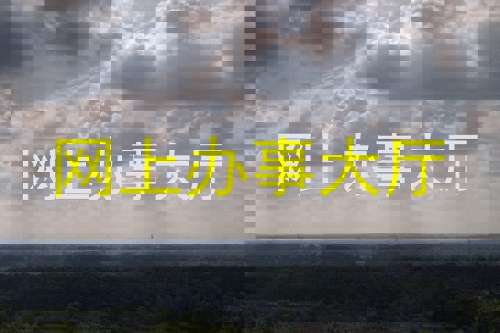 网上办事大厅
