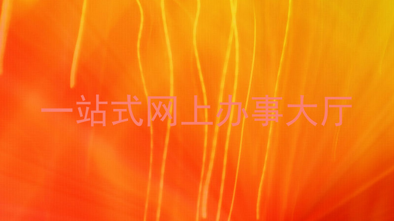 一站式网上办事大厅