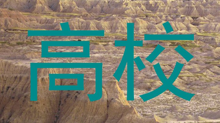 高校