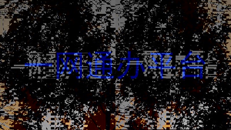 一网通办平台
