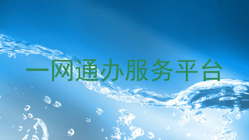 一网通办服务平台