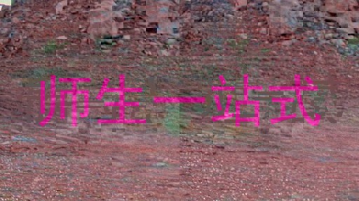 师生一站式