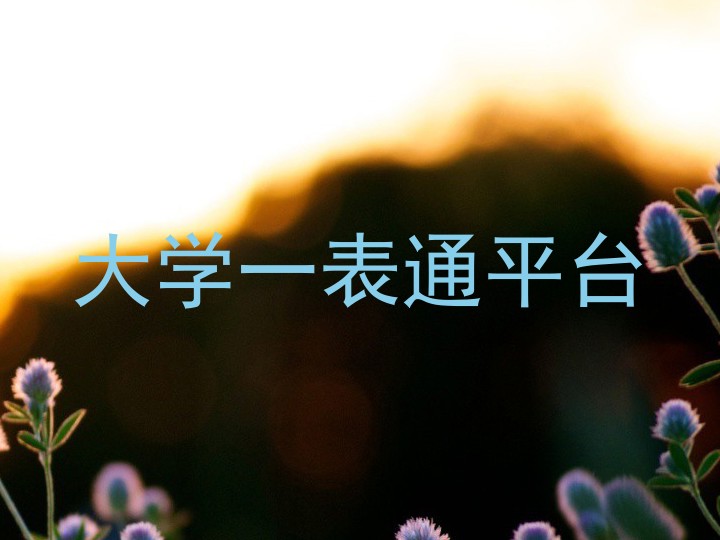 大学一表通平台