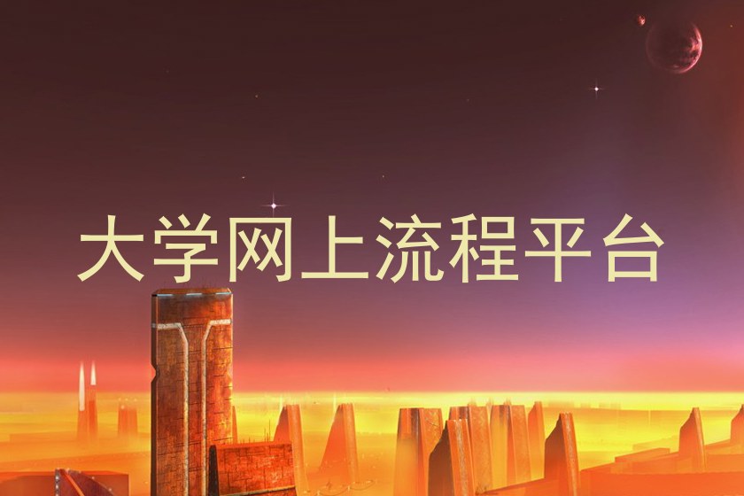 大学网上流程平台