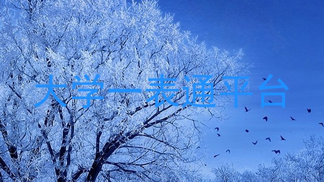 大学一表通平台