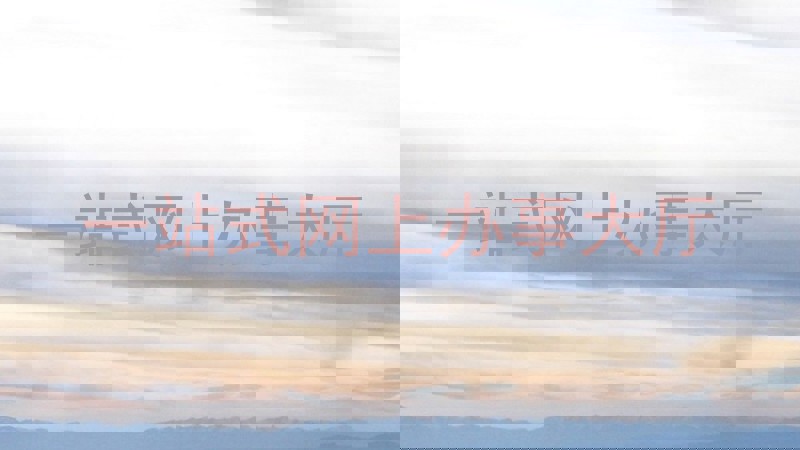 一站式网上办事大厅