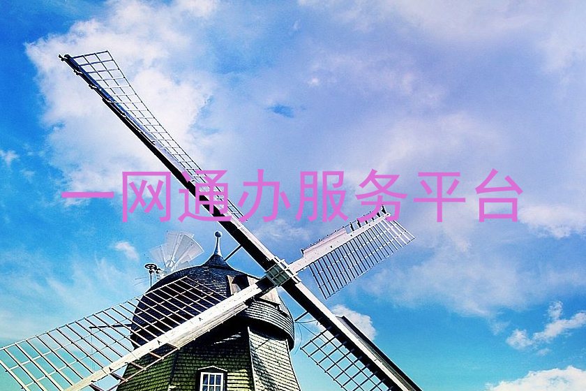 一网通办服务平台