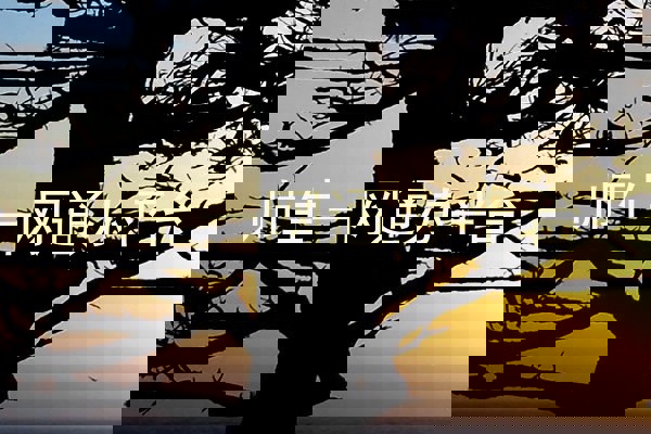 师生一网通办平台