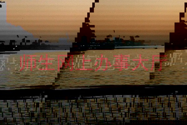 师生网上办事大厅