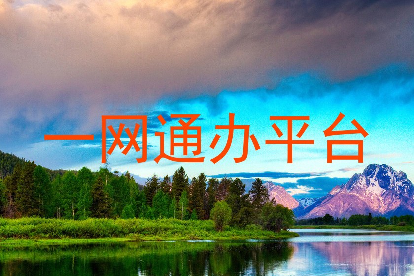 一网通办平台
