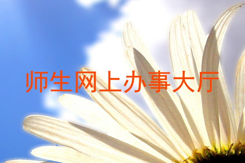 师生网上办事大厅