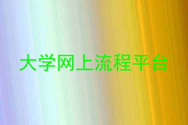 大学网上流程平台