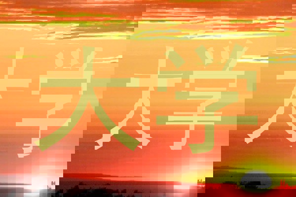 大学