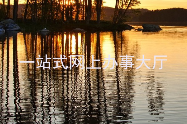 一站式网上办事大厅