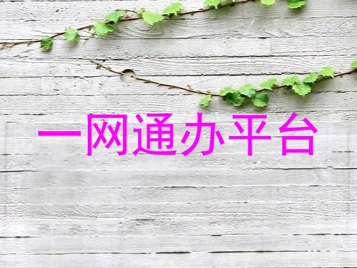 一网通办平台