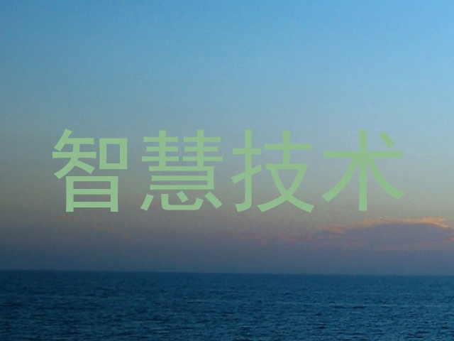 智慧技术