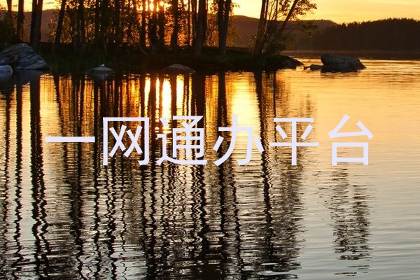 一网通办