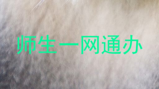 师生一网通办