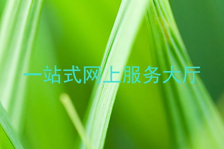 一站式网上服务大厅
