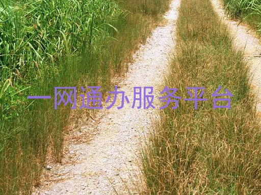 一网通办服务平台