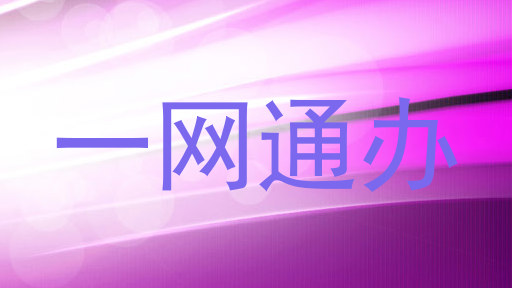 一网通办