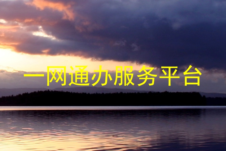 一网通办服务平台