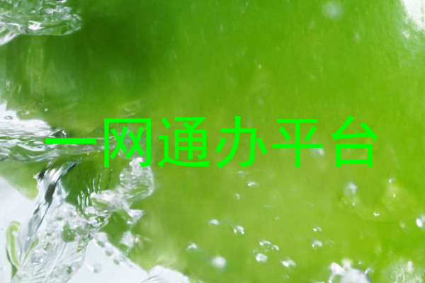 一网通办