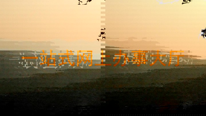 高校网上办事大厅