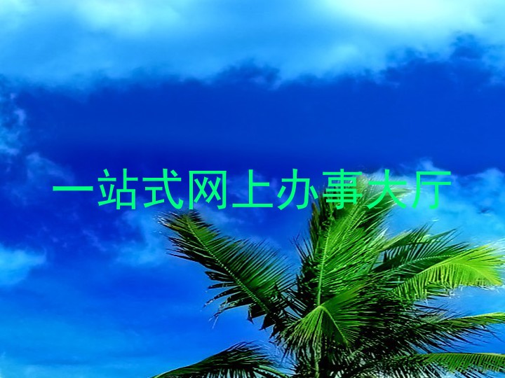 一站式网上办事大厅